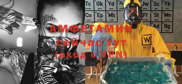 дмт Алзамай